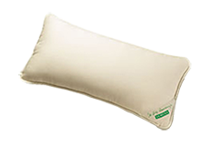 standard-1
