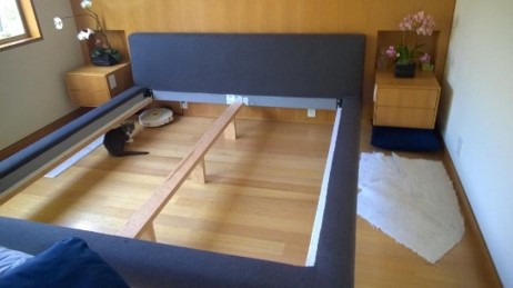 Picture11
