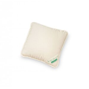 samina-tv-pillow.jpeg
